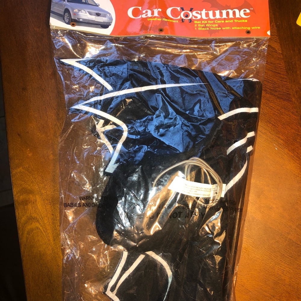 Halloween Car Costume